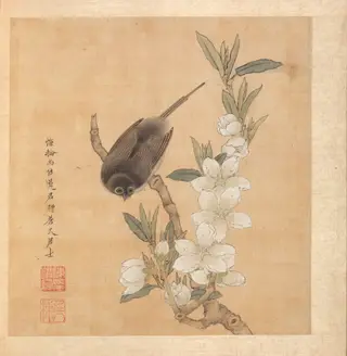 Paintings after Ancient Masters: A Bird and Peach-Blossom Branch, by Chen Hongshou, unspecified, 1625