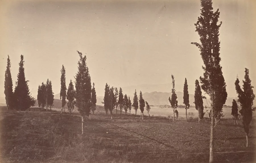 Birds Eye View of Jellalabad, from the Springs, detail