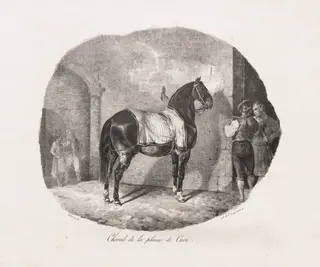 Lithographed Studies of Horses: Pl. 7, Horse from the Caen Plain, by Théodore Géricault, 1822