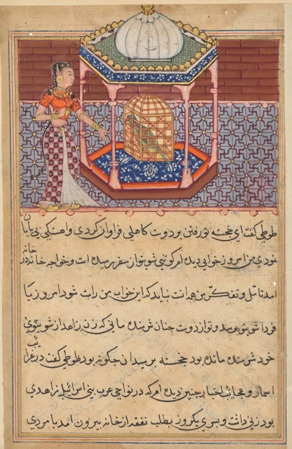 The parrot addresses Khujasta at the beginning of the fifty-second night, from a Tuti-nama (Tales of a Parrot): Fifty-second Night, detail
