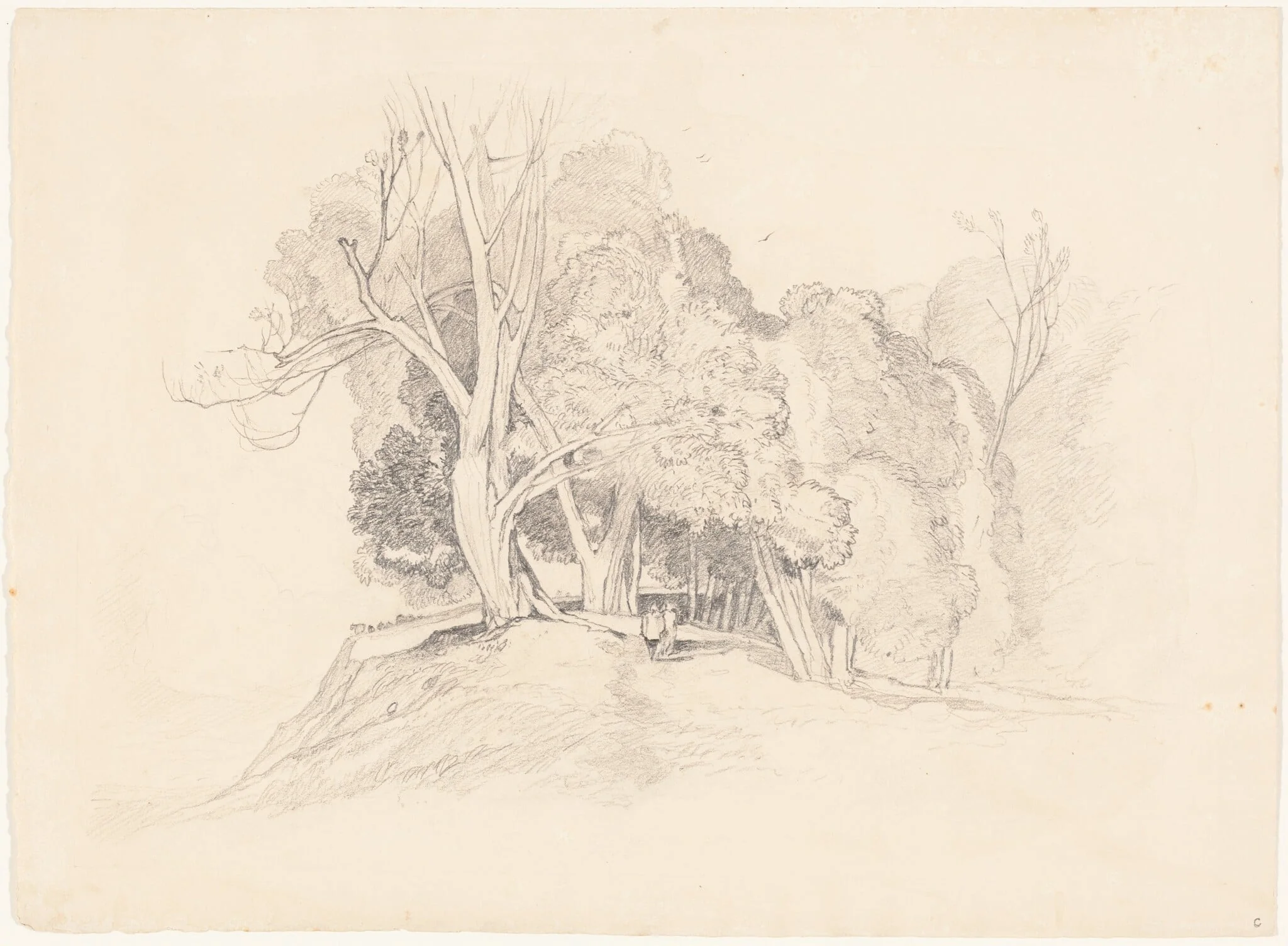 Landscape with Trees, detail