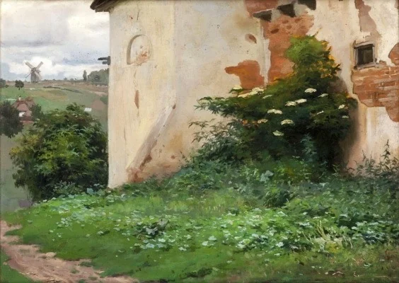 Dziki bez, detail