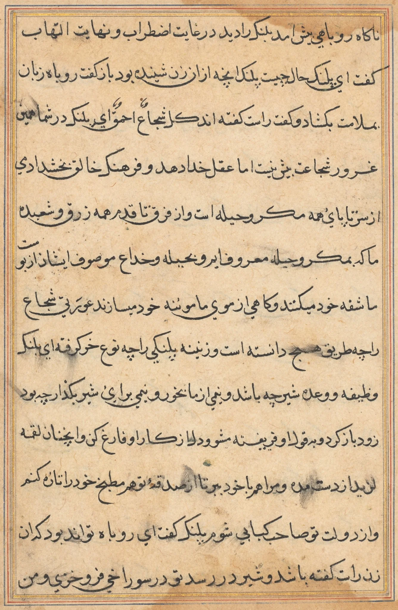 Page from Tales of a Parrot (Tuti-nama): text page, detail