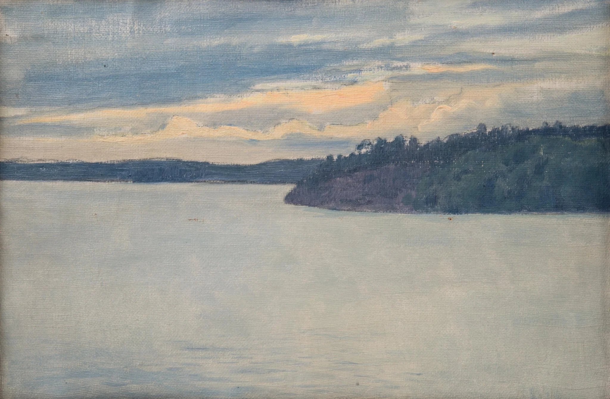Järvimaisema, detail