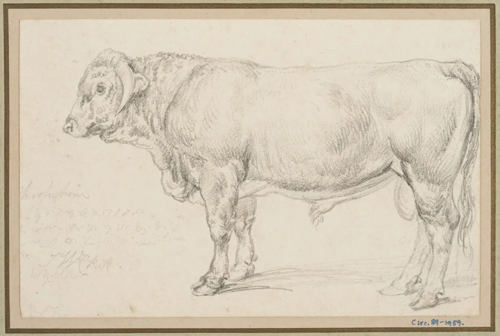 'Mr Cattisal's Shropshire Bull, by James Ward, 1834