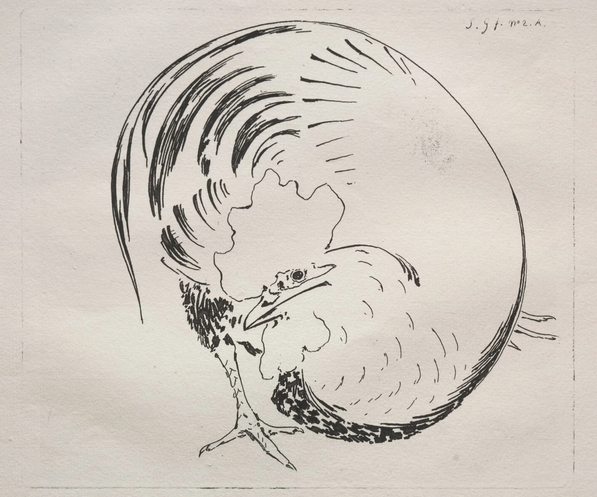 The High-Fired Service: Rooster (counterproof), detail