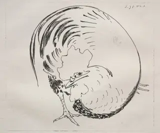 The High-Fired Service: Rooster (counterproof), by Félix Bracquemond, 1860