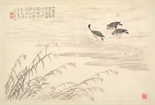 Album of Calligraphy and Paintings, by Bian Shoumin, unspecified, 1726