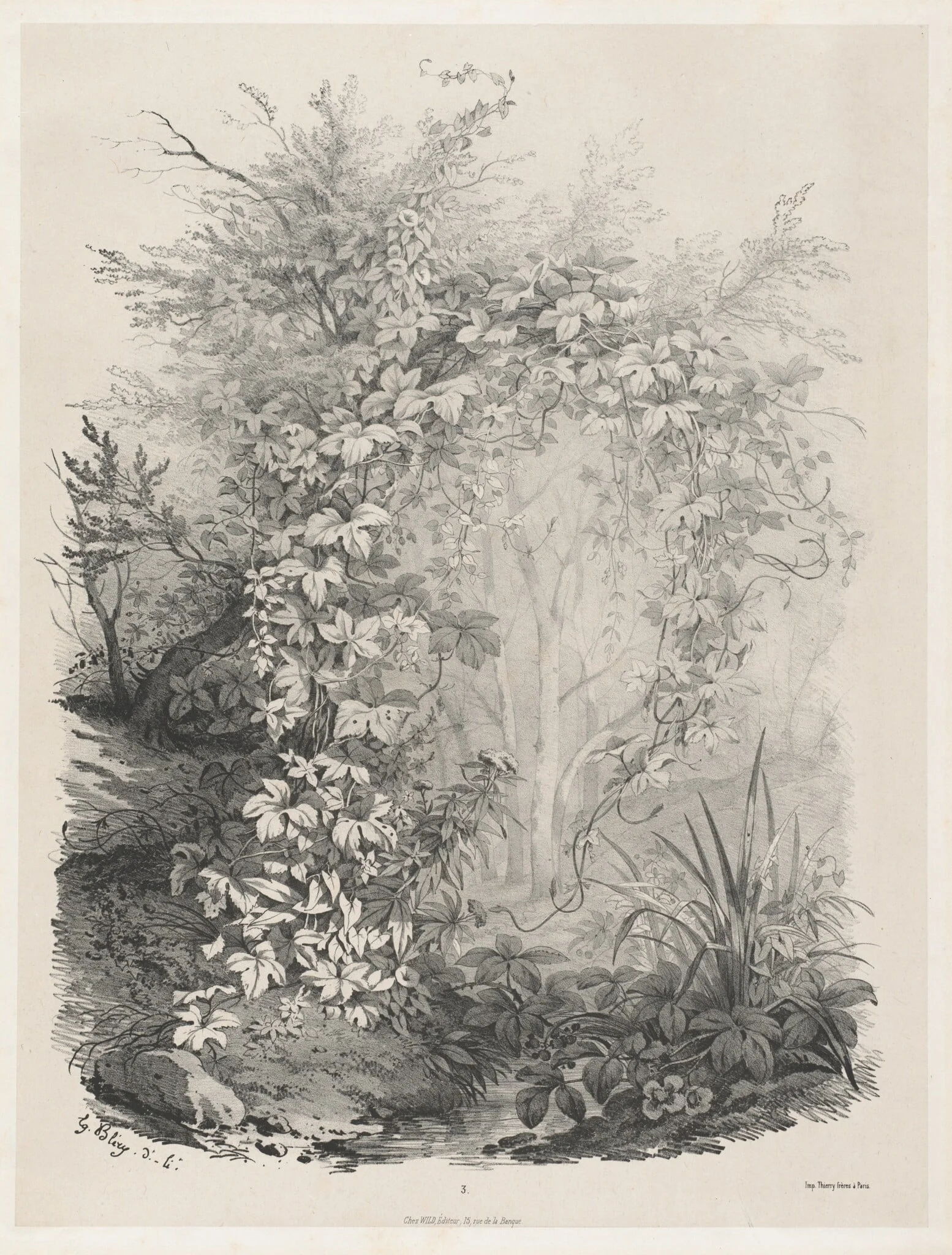 Plants and Ivies by a Stream, detail