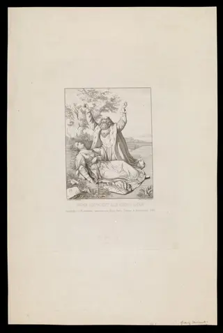 H Beard Print Collection, by Mr. / Herr Schöner, 1826