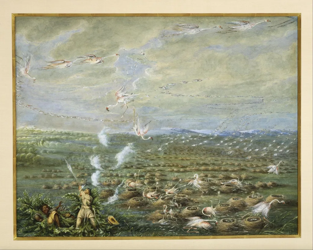 Flamingo Shooting in South America, by George Catlin, unspecified, 1856
