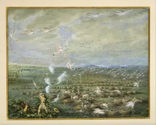 Flamingo Shooting in South America, by George Catlin, unspecified, 1856
