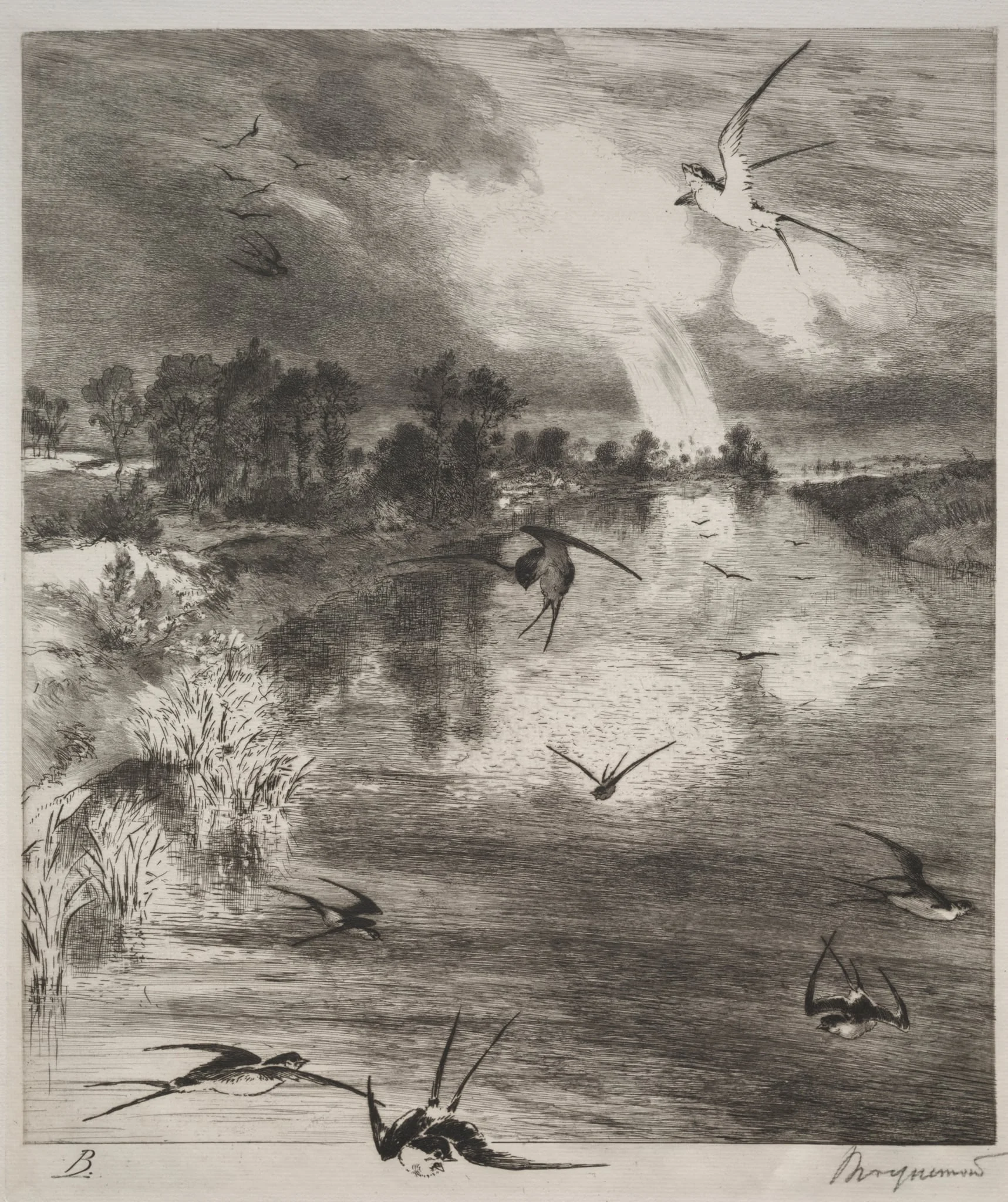 Swallows, detail