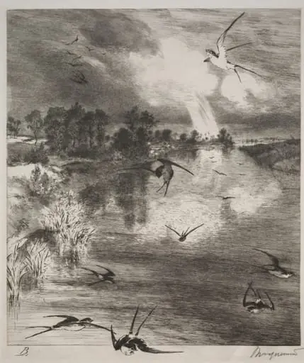 Swallows, by Félix Bracquemond, 1882