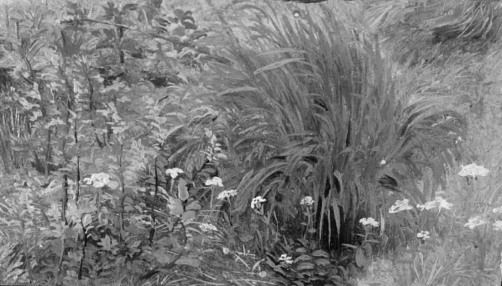 Wild Plants and Grass, detail