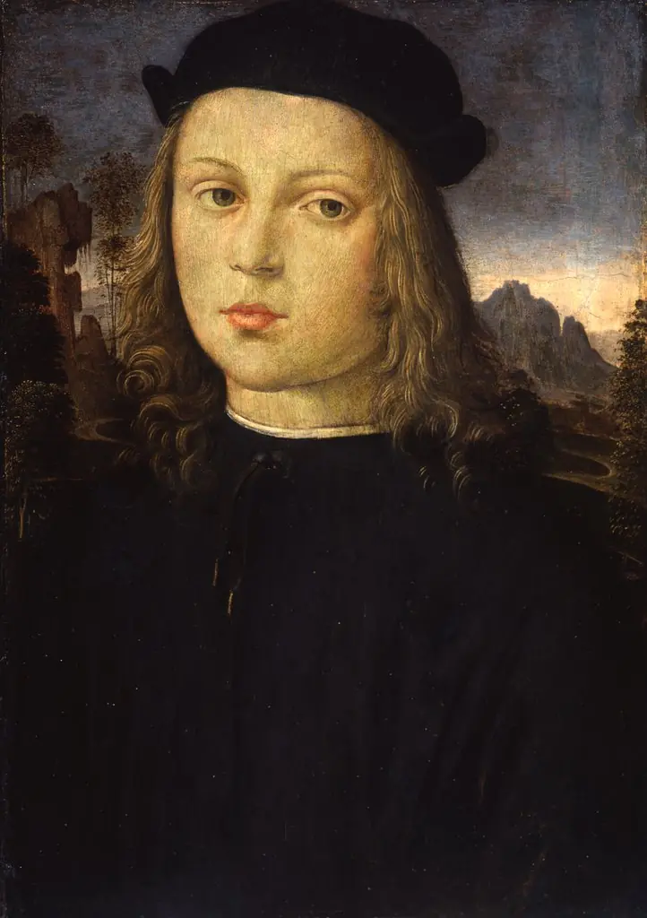 Portrait of a boy, by Agnolo di Domenico del Mazziere, unspecified, 1500