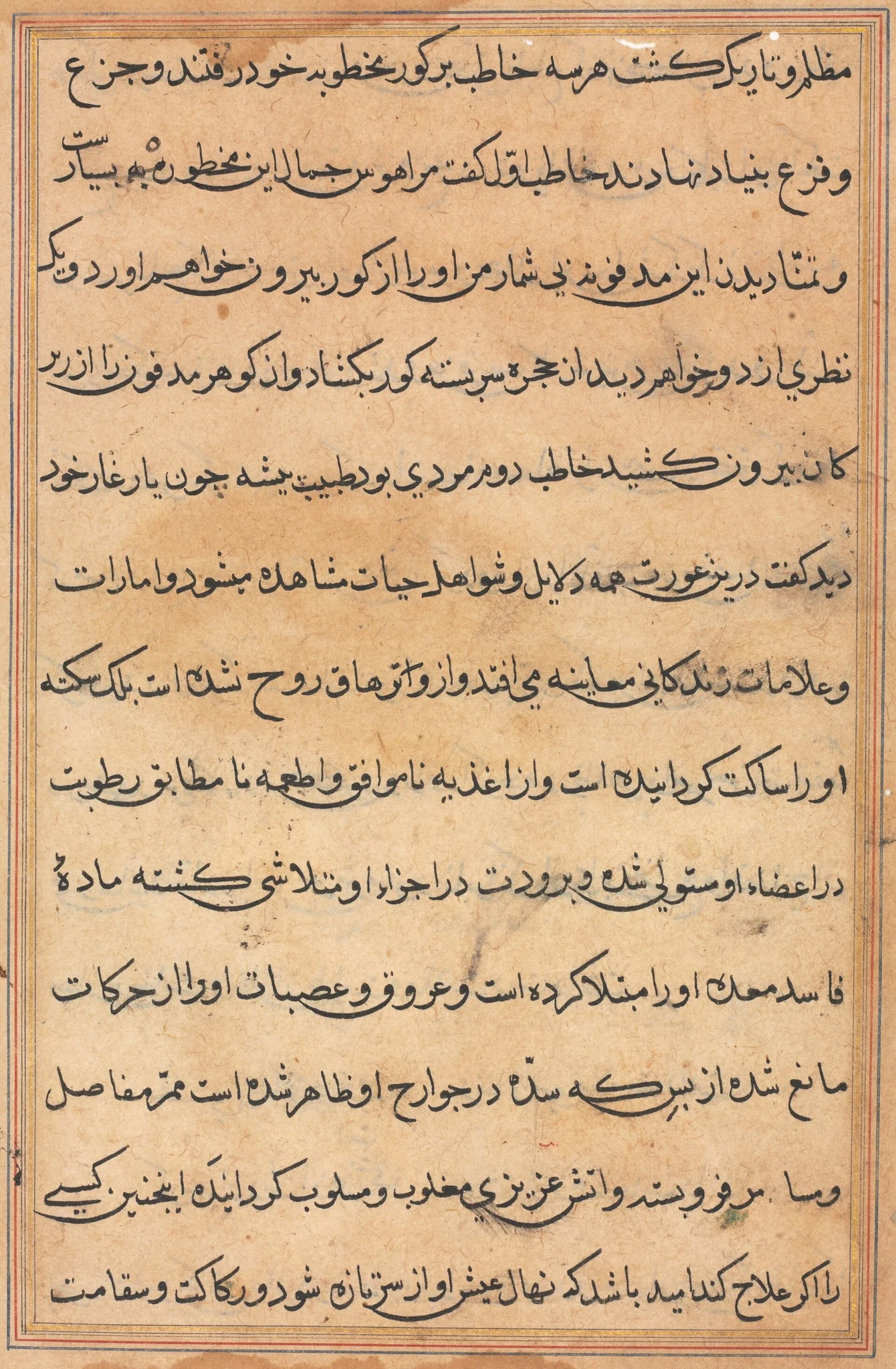 Page from Tales of a Parrot (Tuti-nama): text page, detail