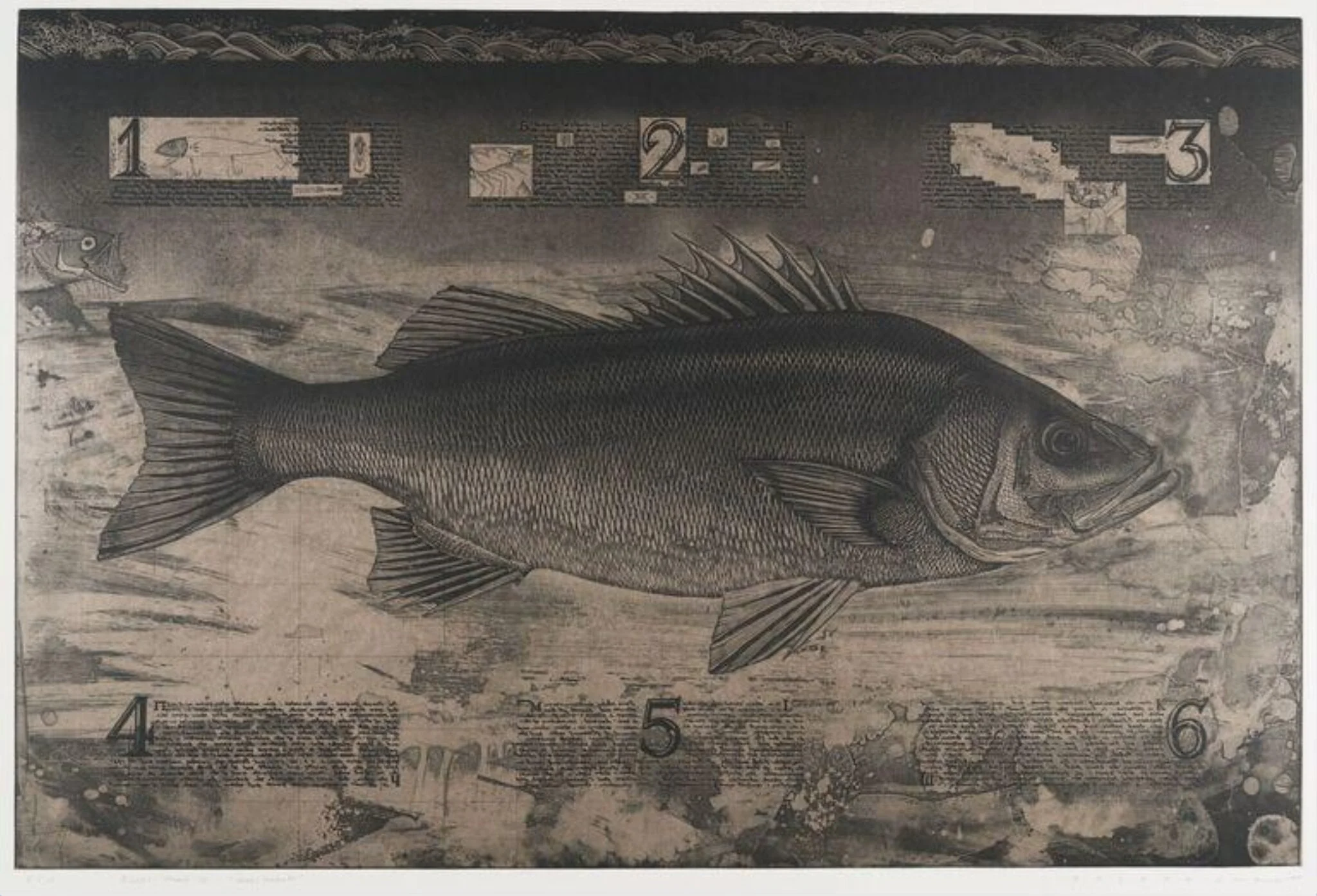 Sushi-Maru II Hira Suzuki, detail