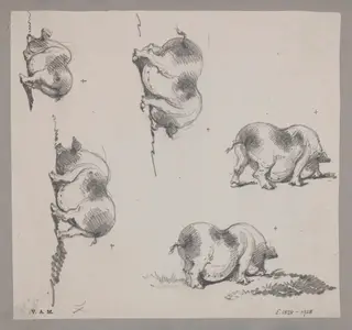 Five drawings of a pig, by George Chinnery, 19