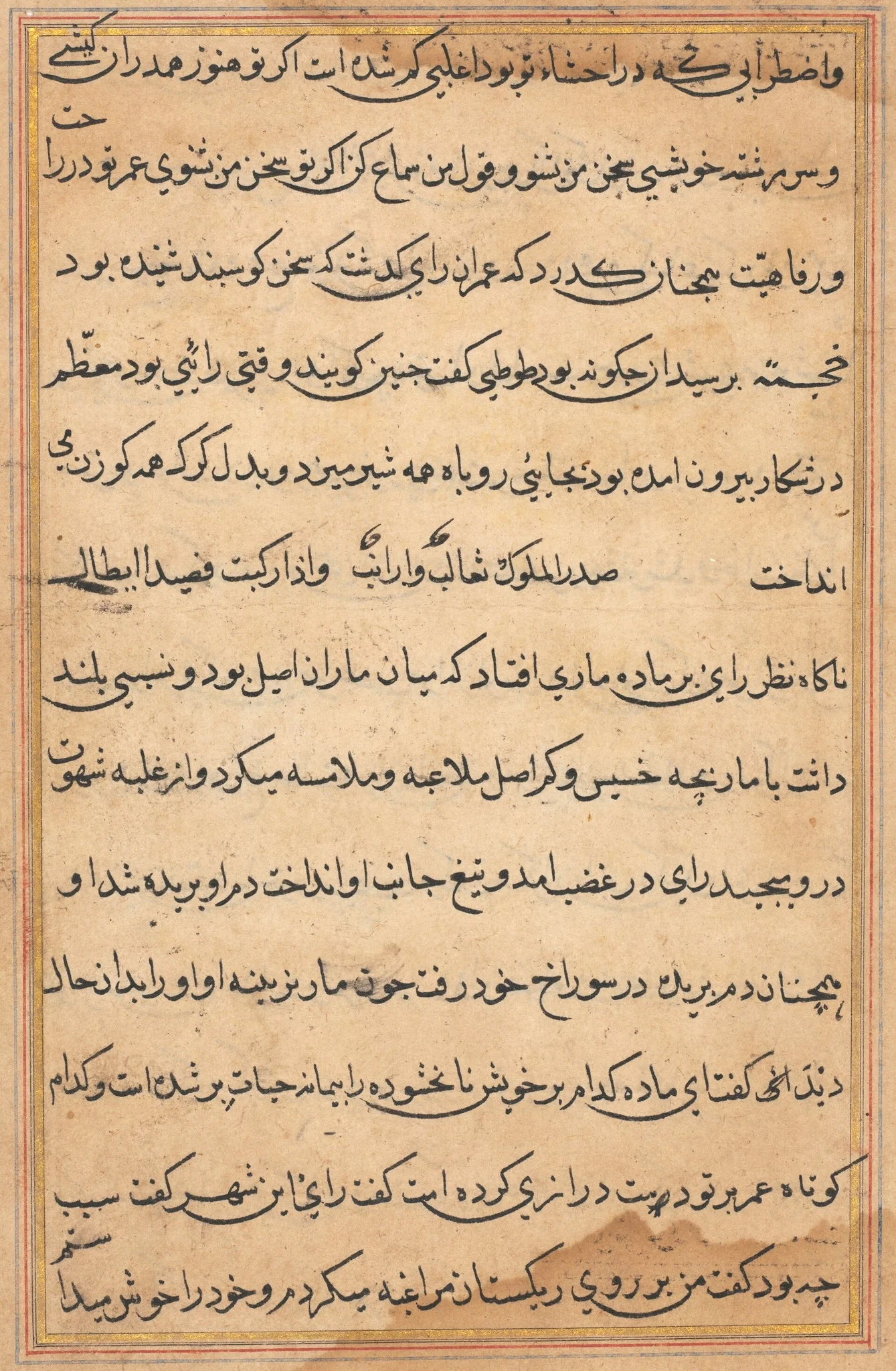 Page from Tales of a Parrot (Tuti-nama): text page, detail