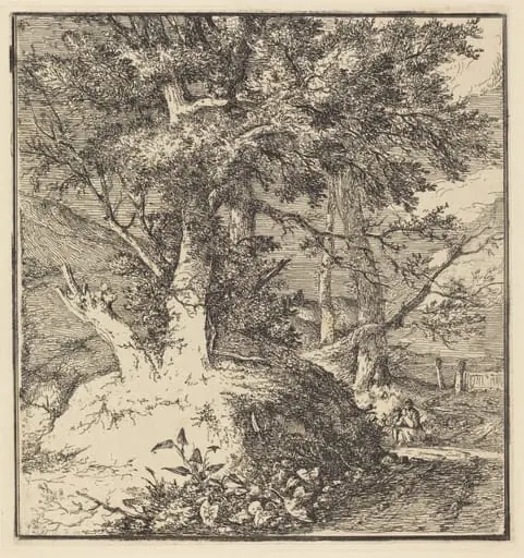 Tree on a Mound, by John Crome, ink, 1794