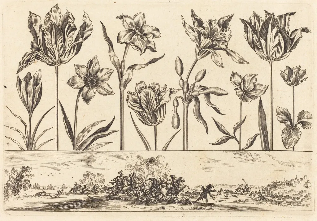 Flower Print no.2, by Nicolas Cochin, ink, 1645