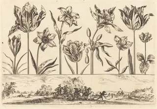 Flower Print no.2, by Nicolas Cochin, ink, 1645