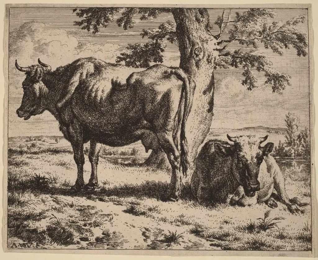 Two Cows under a Tree, by Adriaen van de Velde, ink, 1670