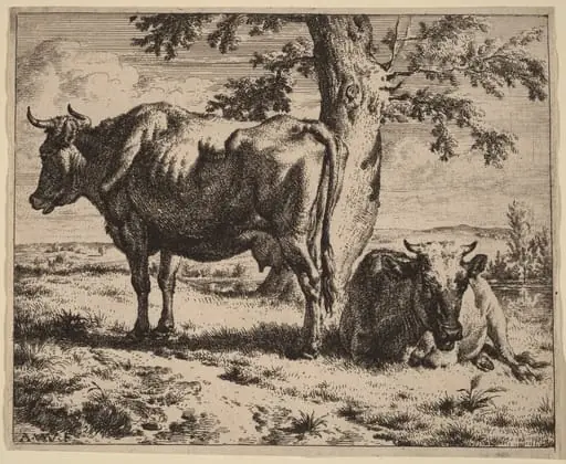 Two Cows under a Tree, by Adriaen van de Velde, ink, 1670