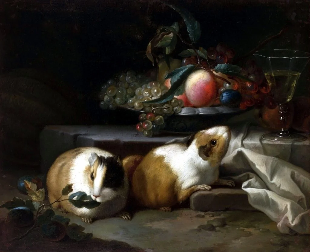 Still life with guinea pigs., detail