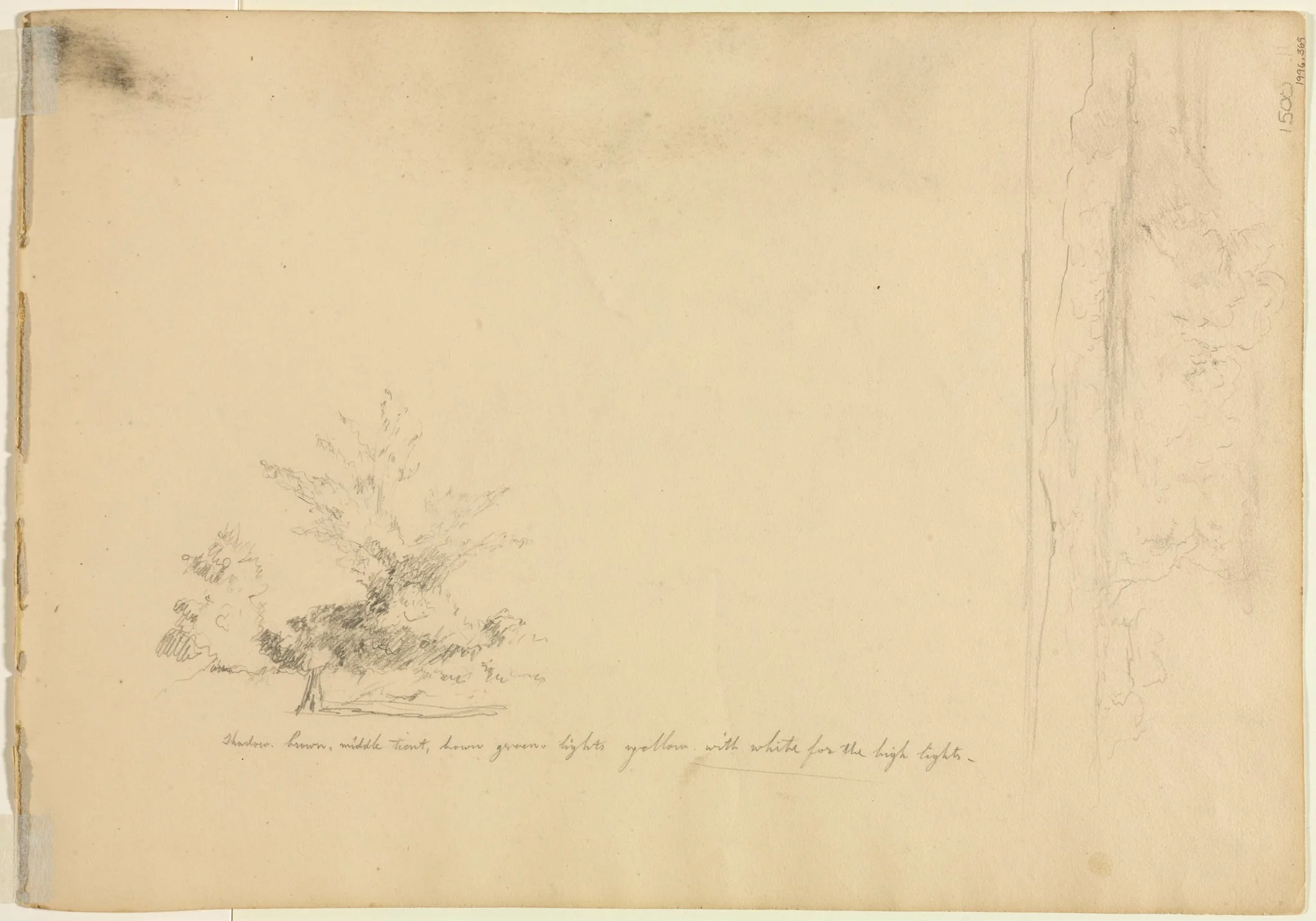 Landscape and Tree Studies (verso), detail