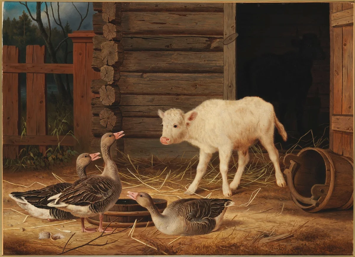 Ensi yllätys, detail