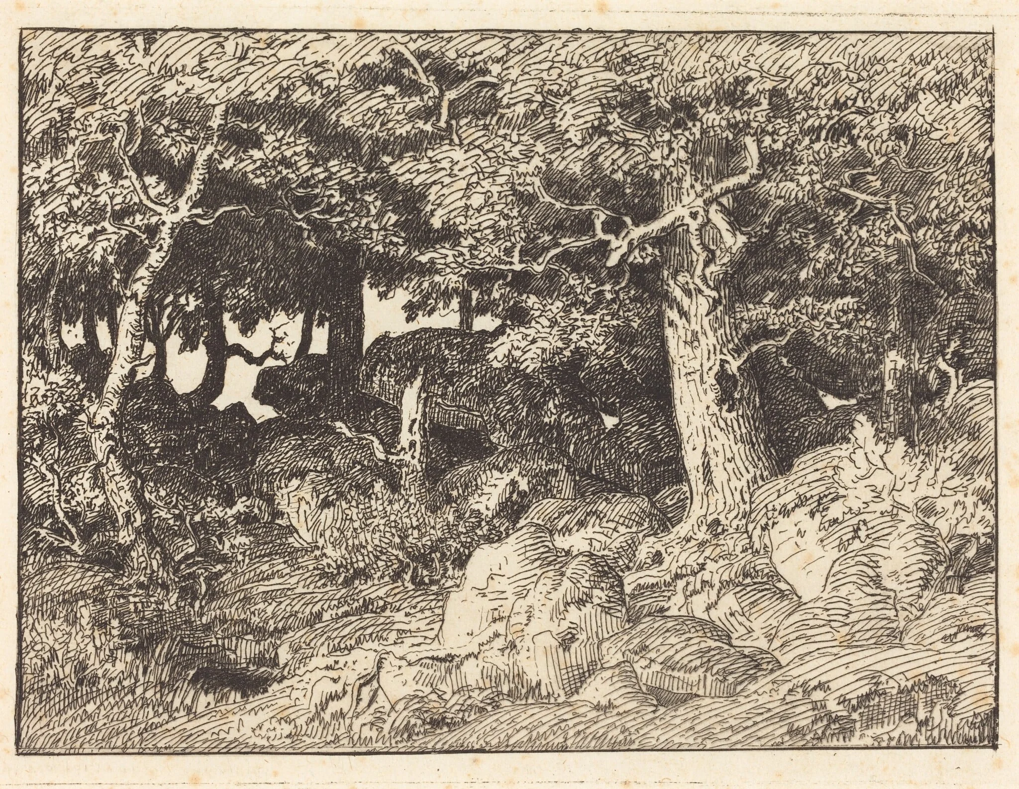 Rock Oaks, detail