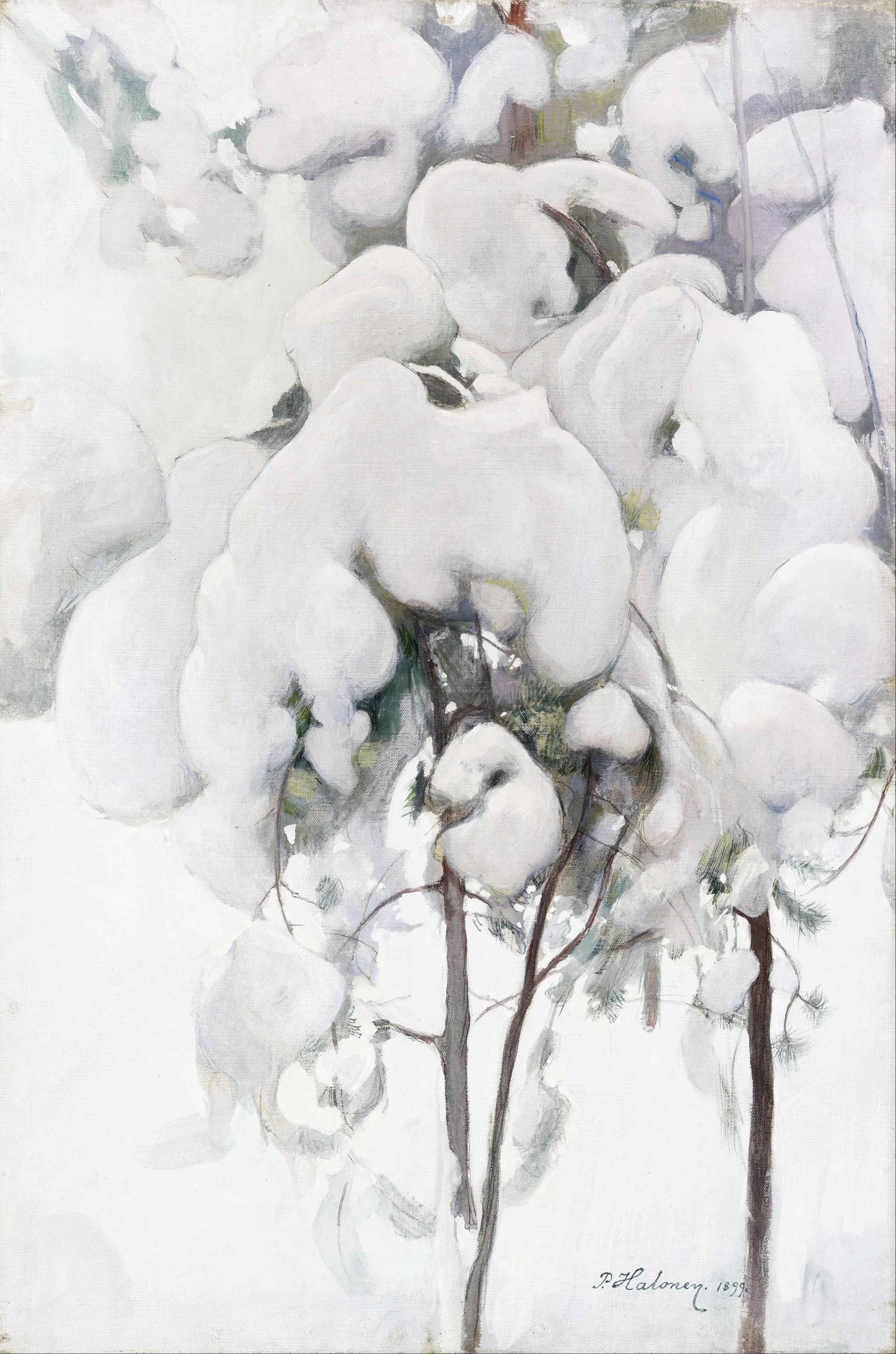 Snow-Covered Pine Saplings, detail