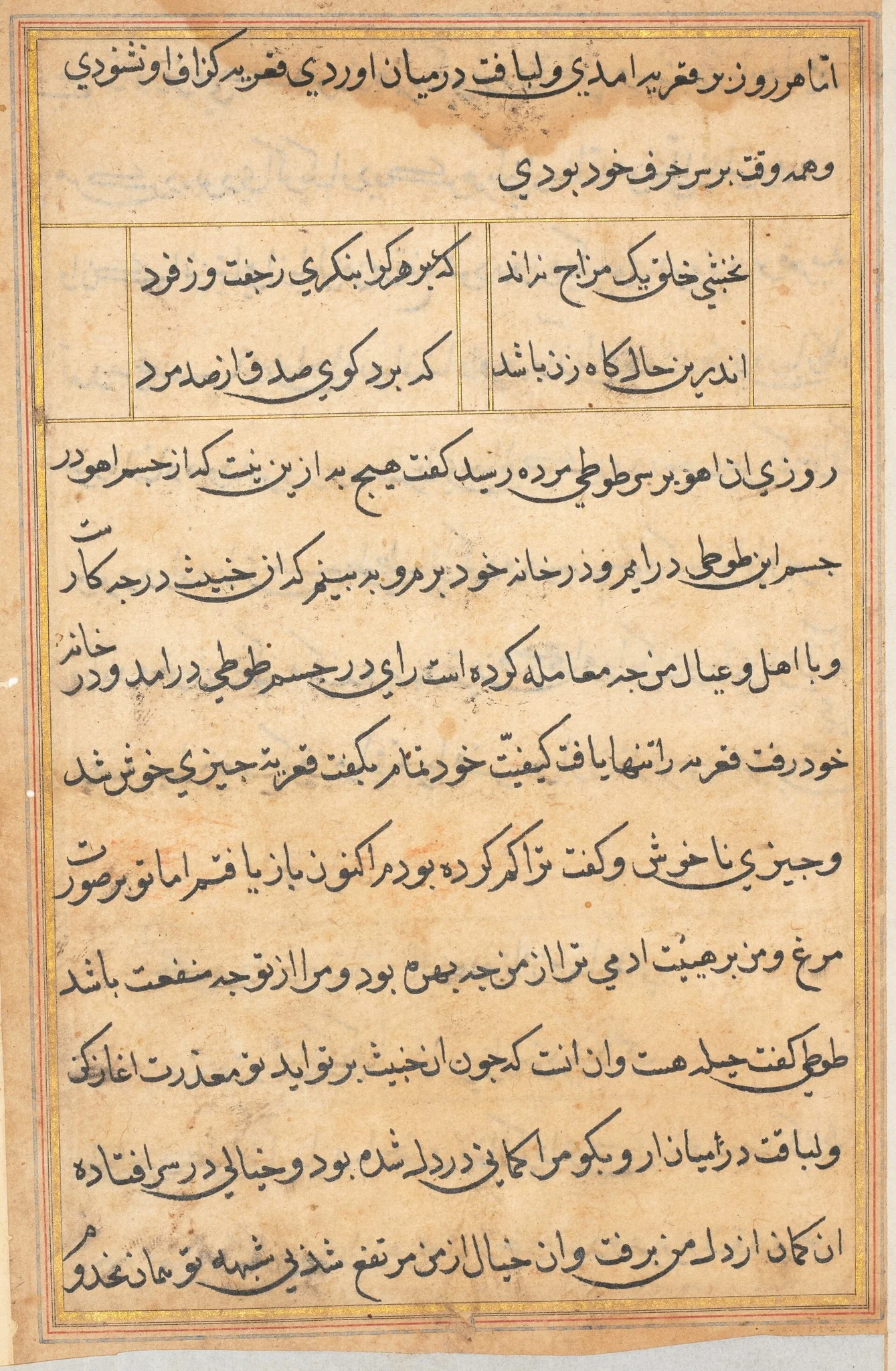 Page from Tales of a Parrot (Tuti-nama): text page, detail