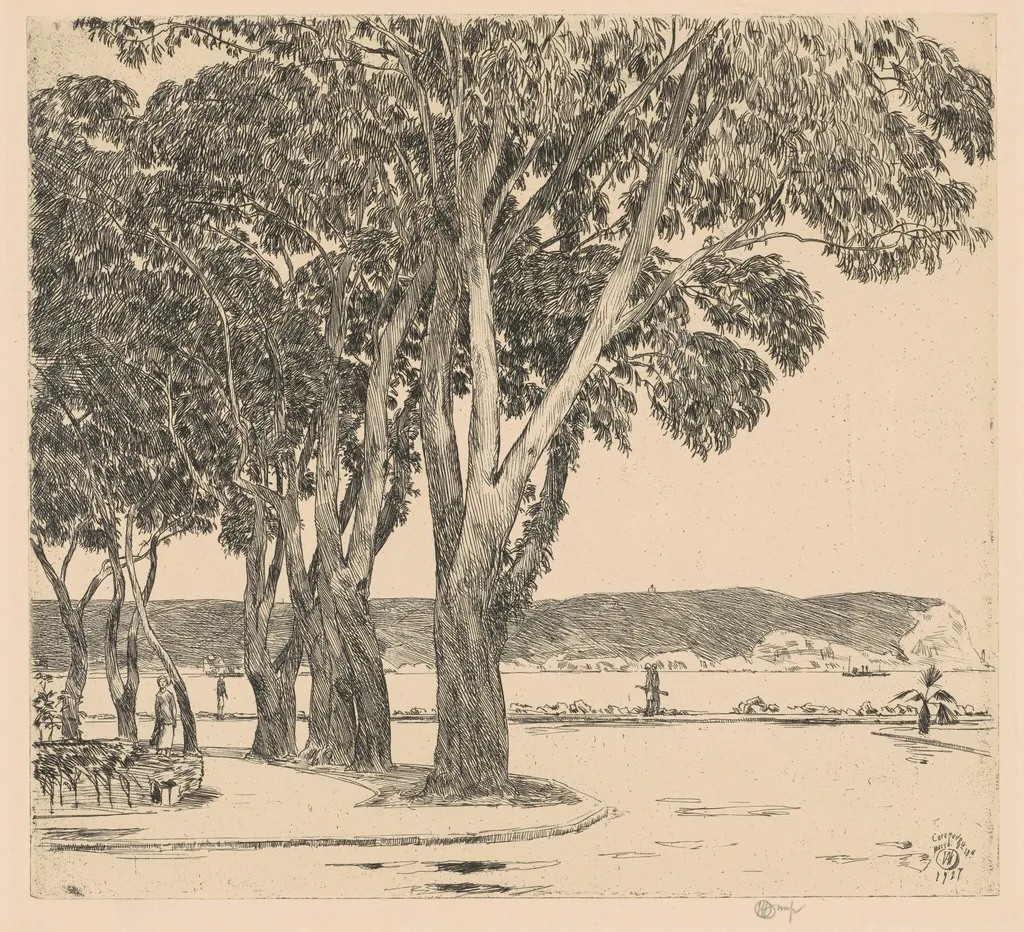 Eucalyptus Trees, by Childe Hassam, ink, 1927