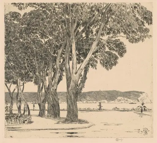 Eucalyptus Trees, by Childe Hassam, ink, 1927