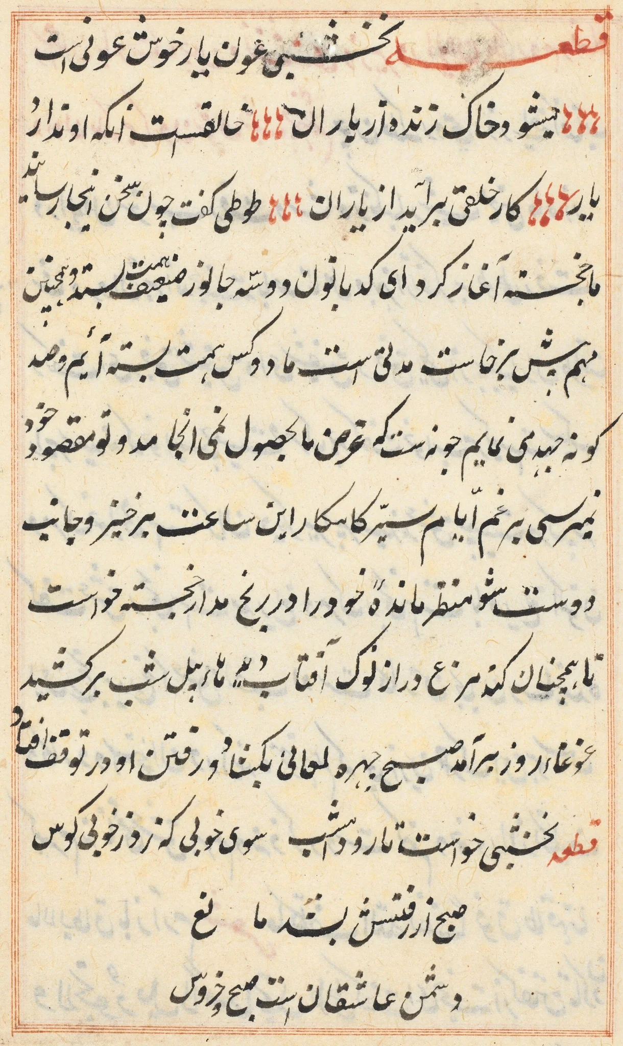 Page from Tales of a Parrot (Tuti-nama): text page, detail