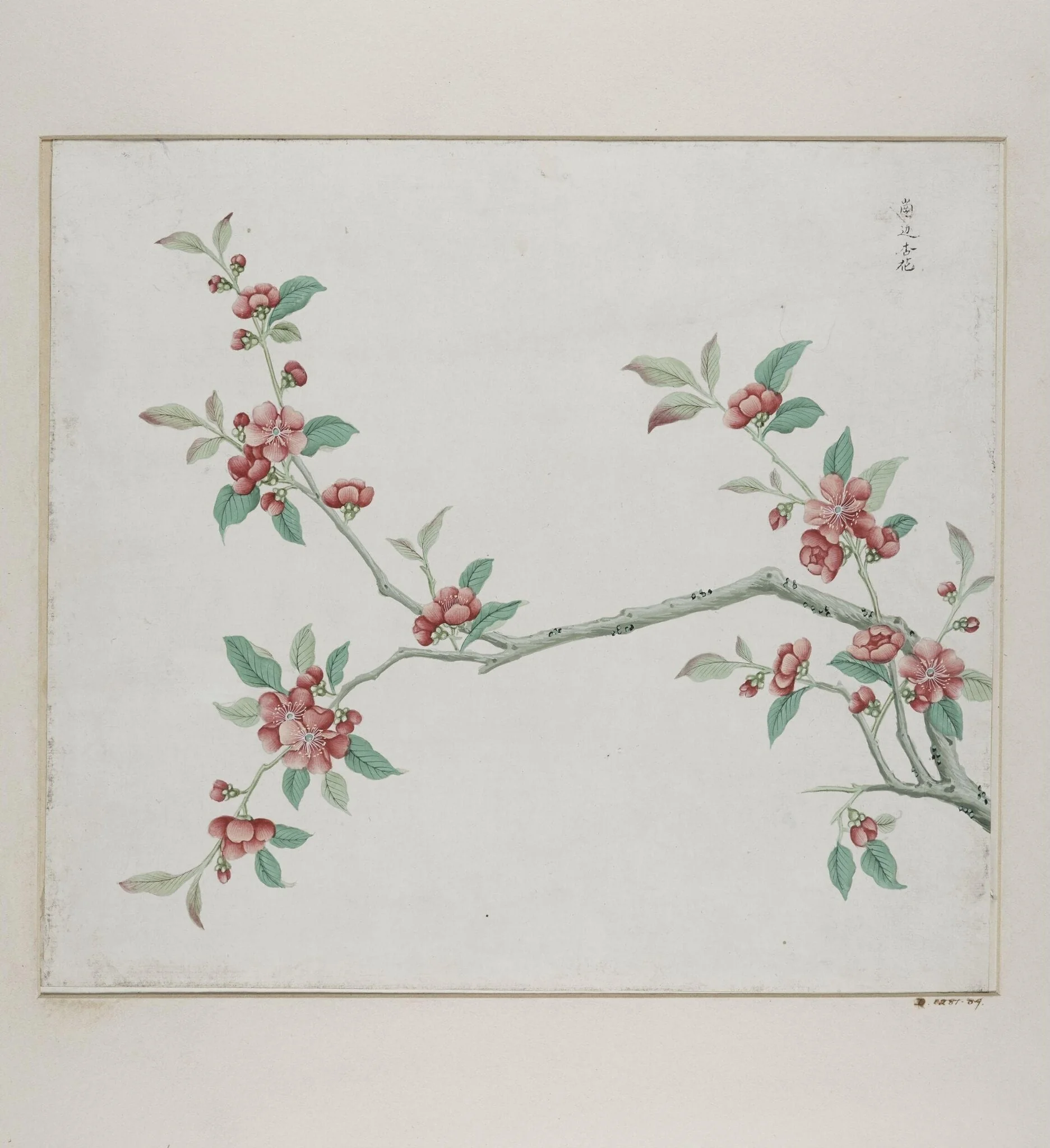 Gang bian xing hua, detail