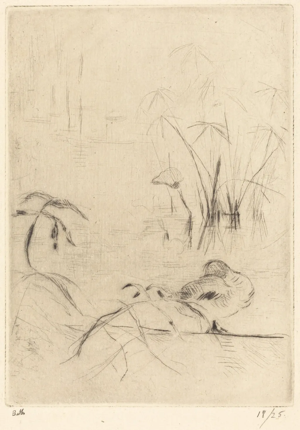 Ducks at Rest on the Bank, by Berthe Morisot, ink, 1889