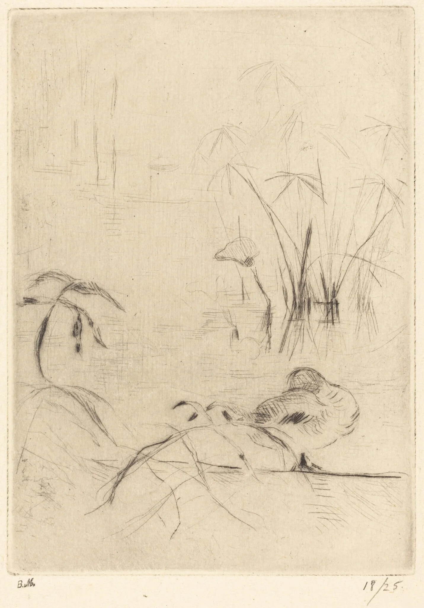 Ducks at Rest on the Bank, detail