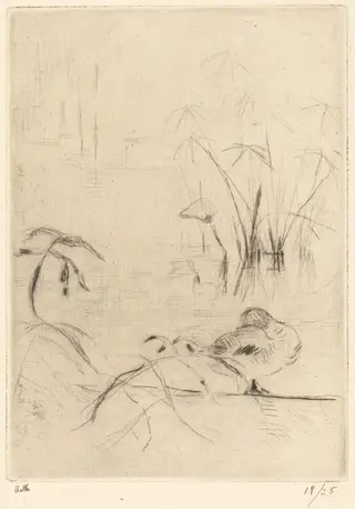 Ducks at Rest on the Bank, by Berthe Morisot, ink, 1889