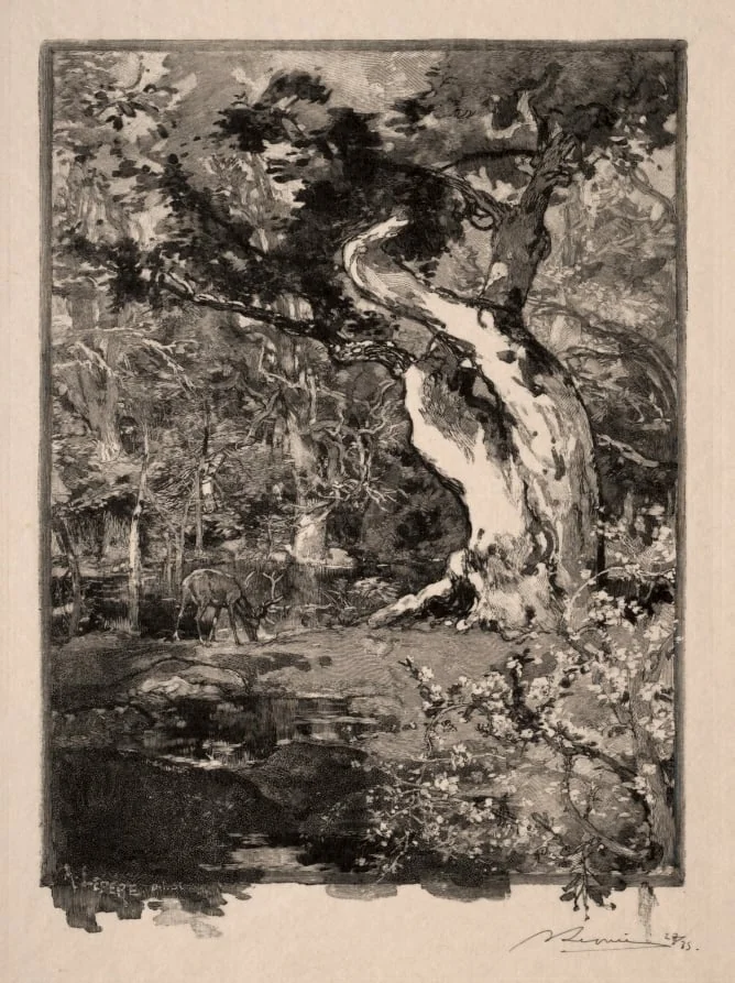 Le Clovis, Plateau de Bellecroix, detail