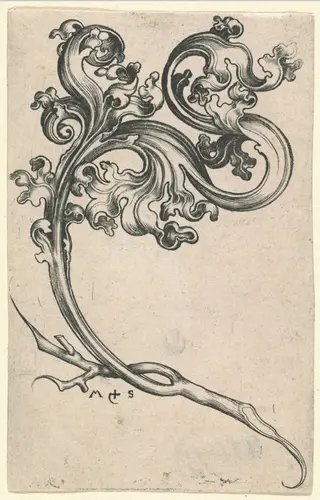 Leaf Ornament, by Martin Schongauer, ink, 1485