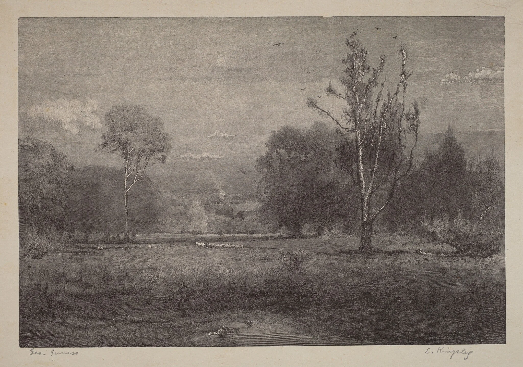 Morning, detail