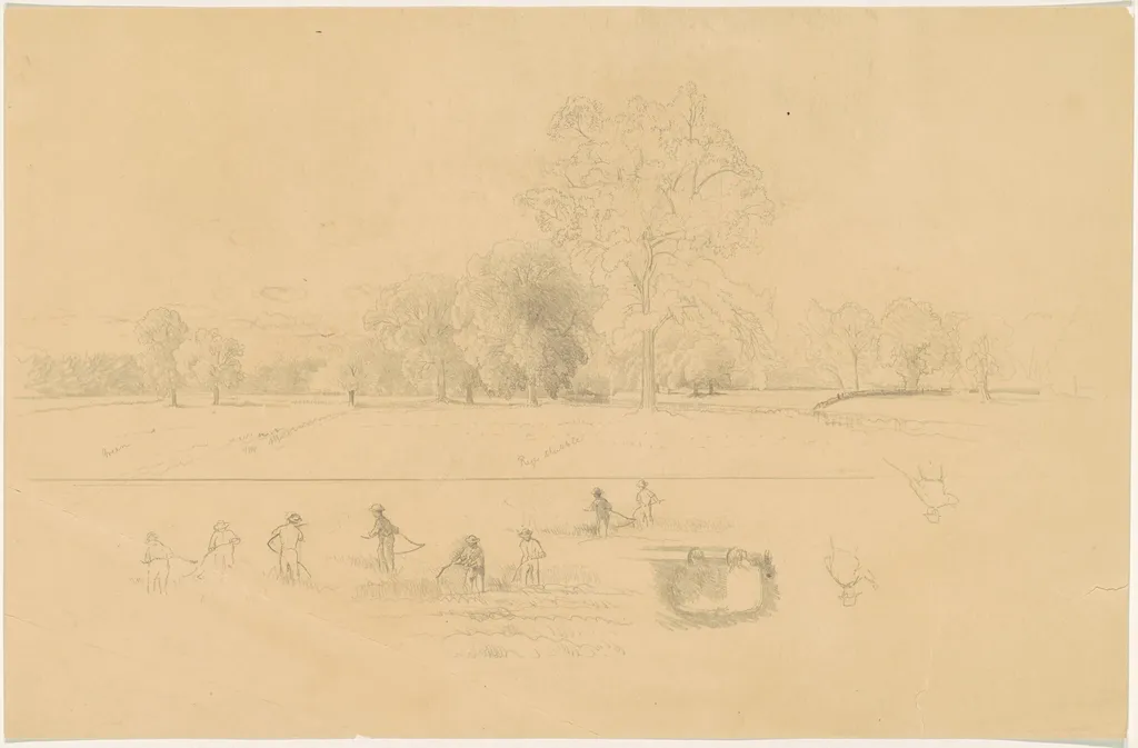 Harvesting, New England, by Aaron Draper Shattuck, graphite, 1866