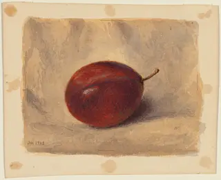 Plum, by John Henry Hill, watercolor, 1903