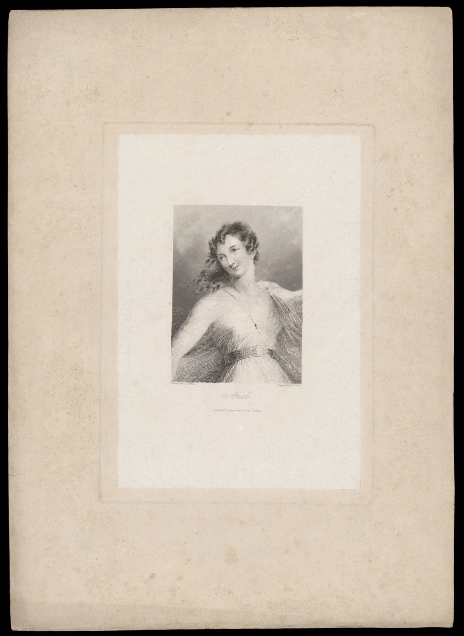 H Beard Print Collection, detail
