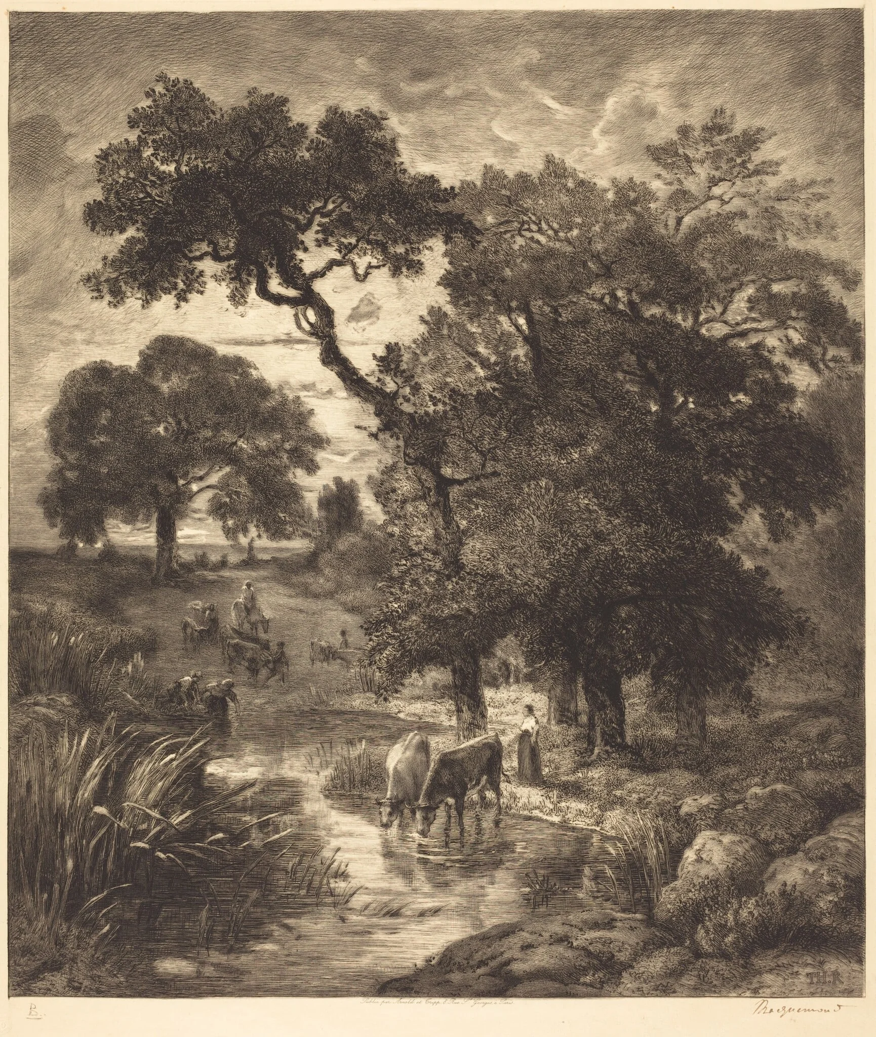 Evening, detail