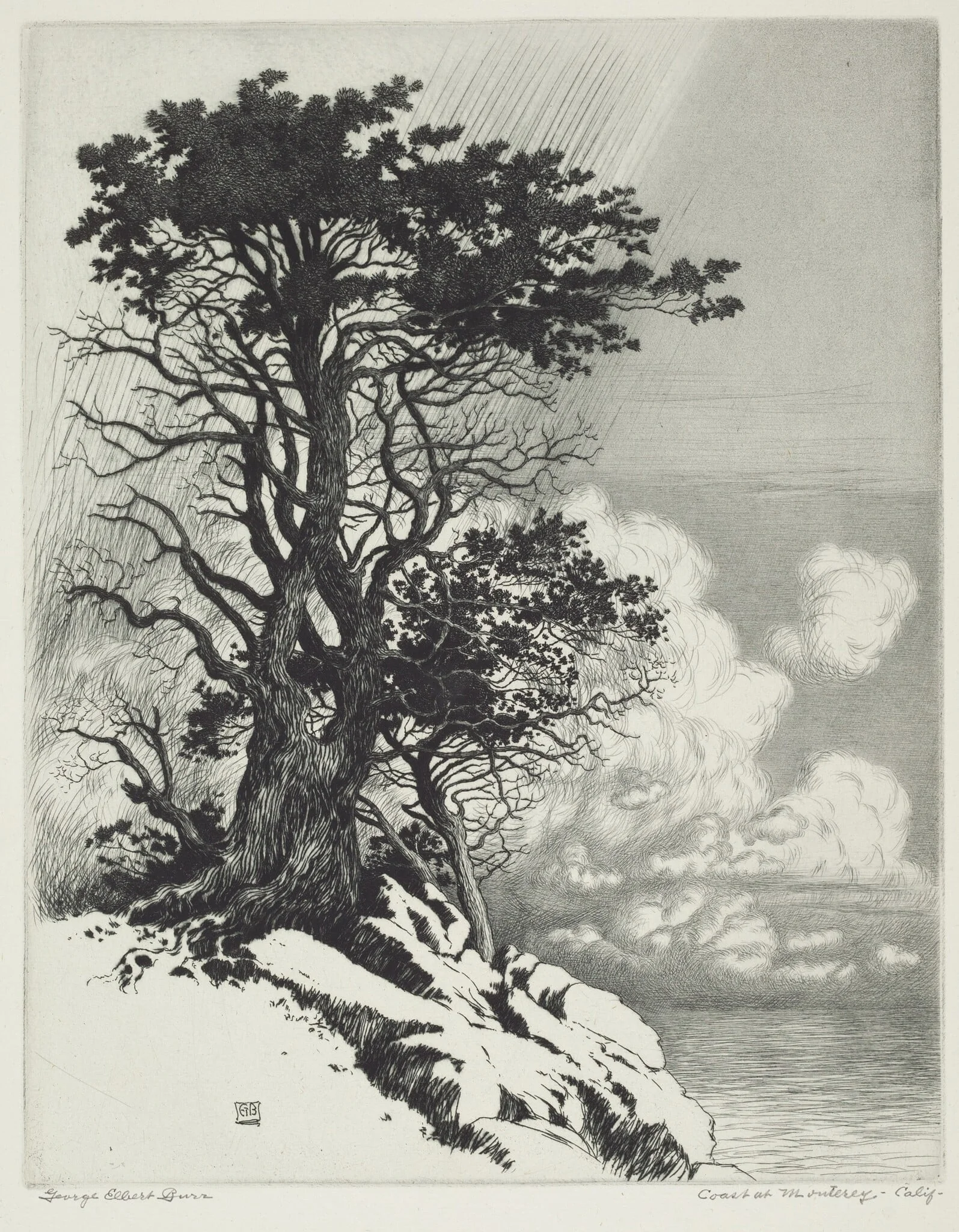 Coast at Monterey, California, detail
